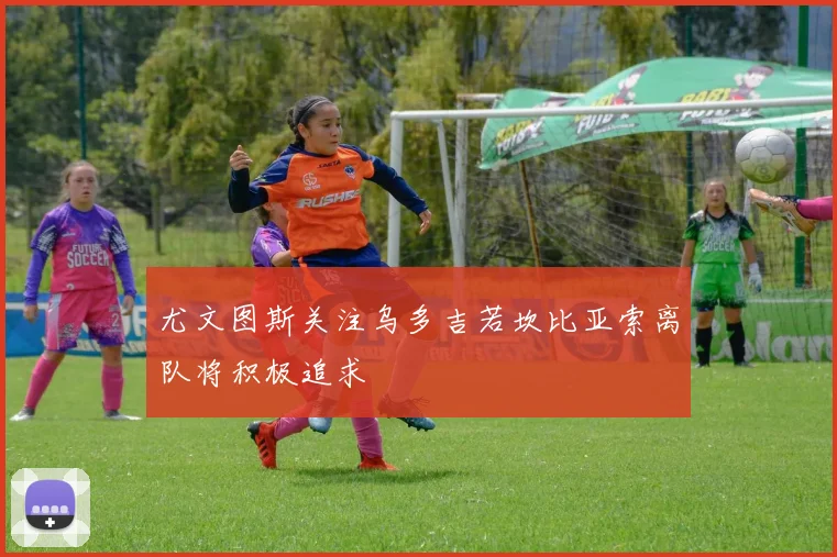 尤文图斯关注乌多吉若坎比亚索离队将积极追求