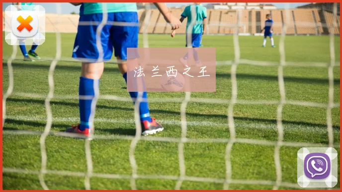 法兰西之王